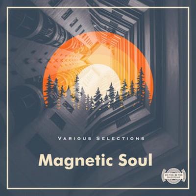Magnetic Soul - Various Selections [LV00118]